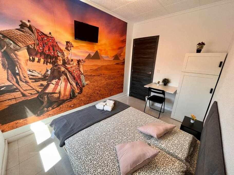 Novelda Centro Habitaciones Con Bano Privado Y Compartido , Cocina Y Terraza Pokój zdjęcie